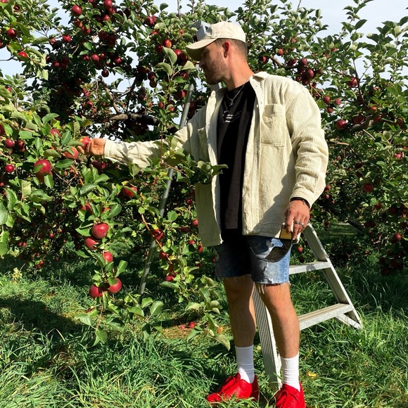 Meet your Posher, Tommy - Picture 4 of 5